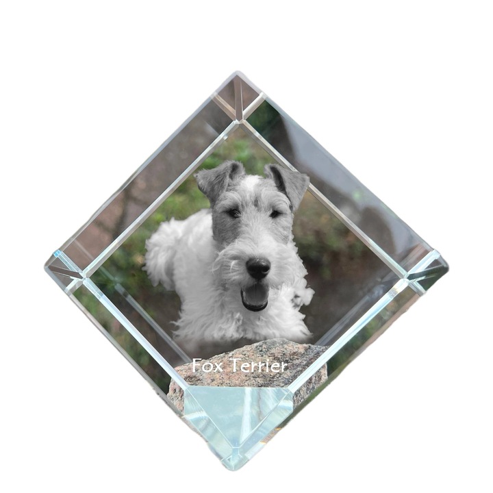 Cubica din cristal cu gravura personalizata, Art-Dog, 8x8x8cm, ideala pentru birou, cadou pentru iubitorii de animale