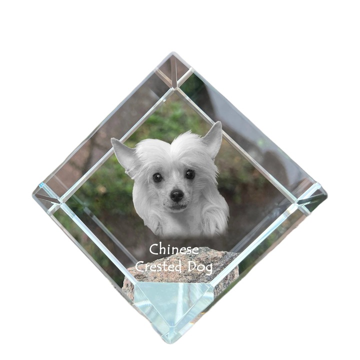Cubica din cristal cu gravura personalizata, Art-Dog, 8x8x8cm, ideala pentru birou, cadou pentru iubitorii de animale