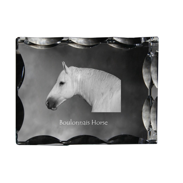 Rama foto clasica Art-Dog, krysztal cu personalizare, 12x9x5cm, transparent