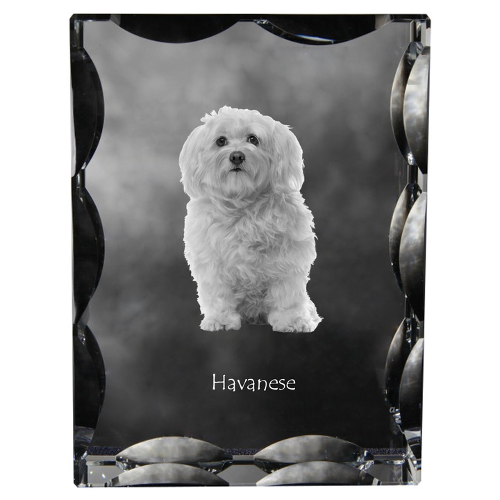 Statueta din cristal cu fotografie, Art-Dog, 12x9x5cm, personalizabila, pentru amintirea animalului de companie