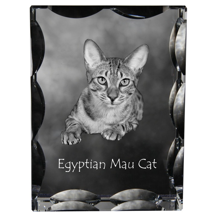 Statueta din cristal cu fotografie personalizata, Art-Dog, 12x9x5cm, orientare verticala sau orizontala