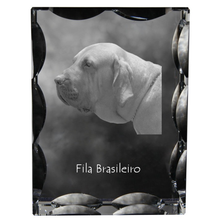 Rama foto clasica Art-Dog, krysztal cu imagine personalizata, 12x9x5cm, transparent