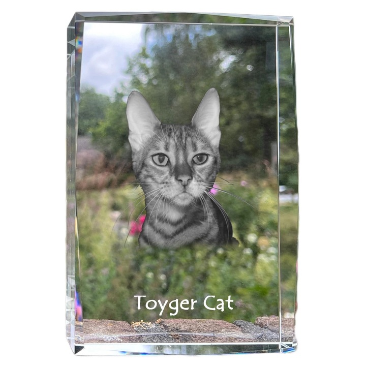 Kristály díszkeret fényképpel, Art-Dog, 18x12x4cm, személyre szabható