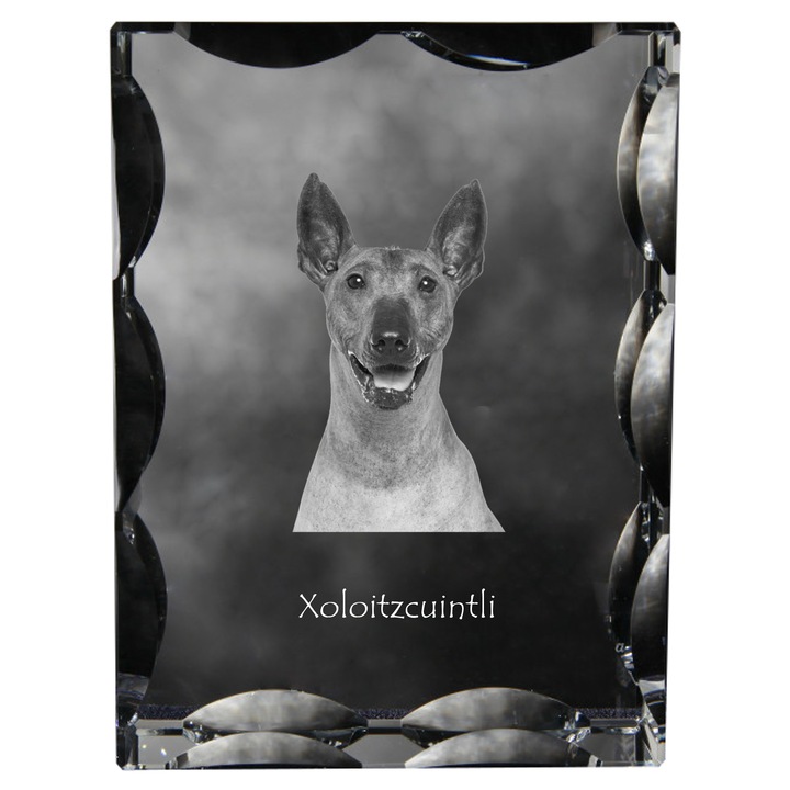 Statueta din cristal cu fotografie personalizata, Art-Dog, 12x9x5cm, transparent