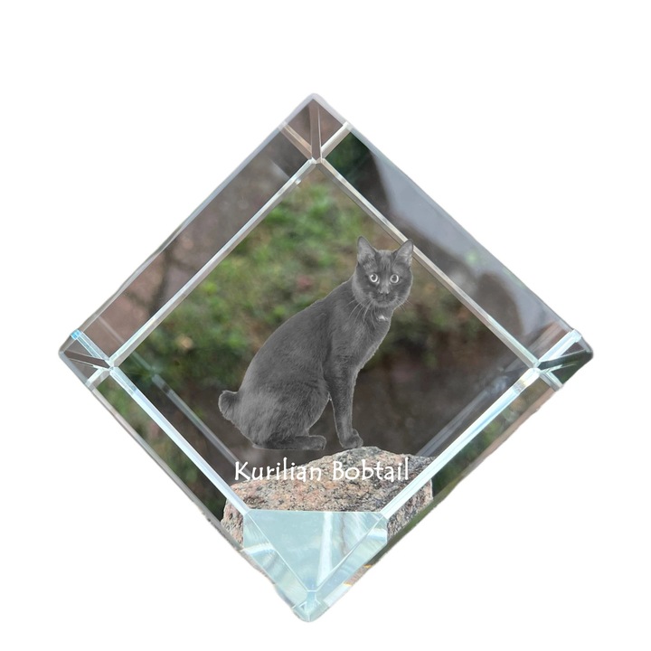Cubica din cristal cu gravura personalizata, Art-Dog, 8x8x8cm, ideala pentru birou, cadou pentru iubitorii de animale