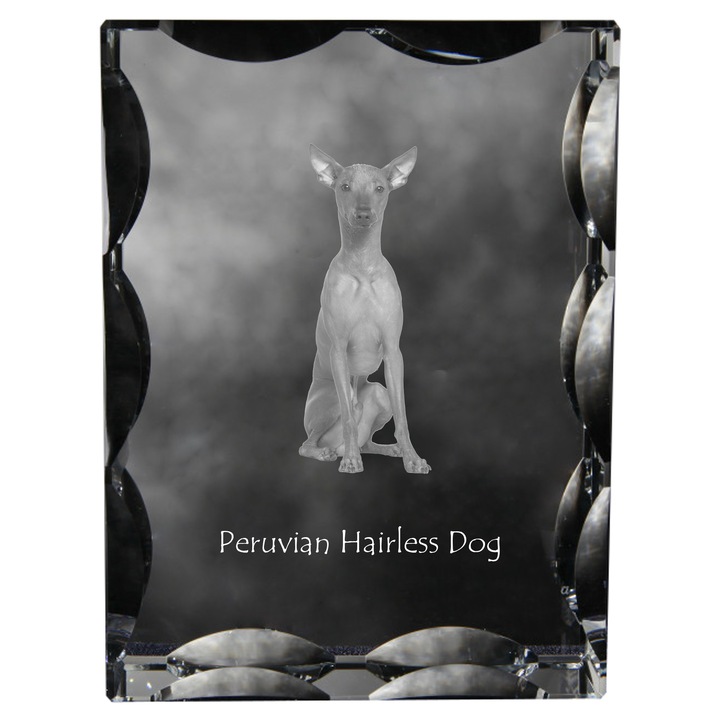 Statueta din cristal cu fotografie personalizata, Art-Dog, 12x9x5cm, transparent