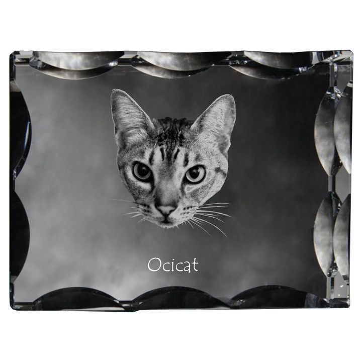 Rama foto clasica, Art-Dog, krysztal cu poza, personalizabil, 12x9x5cm