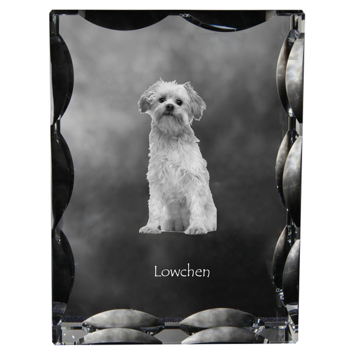 Statueta din cristal cu fotografie personalizata, Art-Dog, 12x9x5cm, decorativa