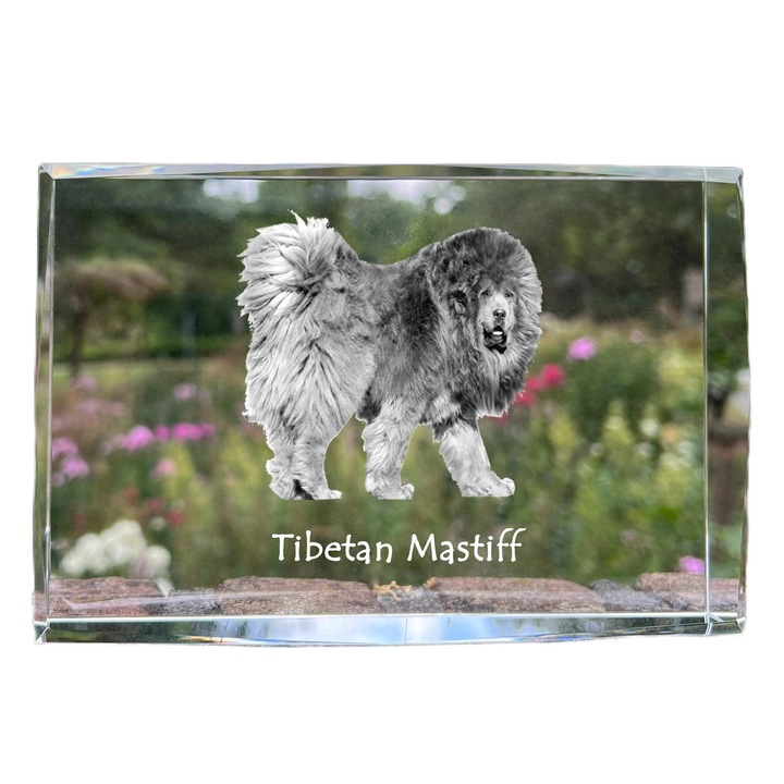 Kristály képkeret, Art-Dog, 18x12x4cm, személyre szabott fényképpel, háziállatok emlékeihez