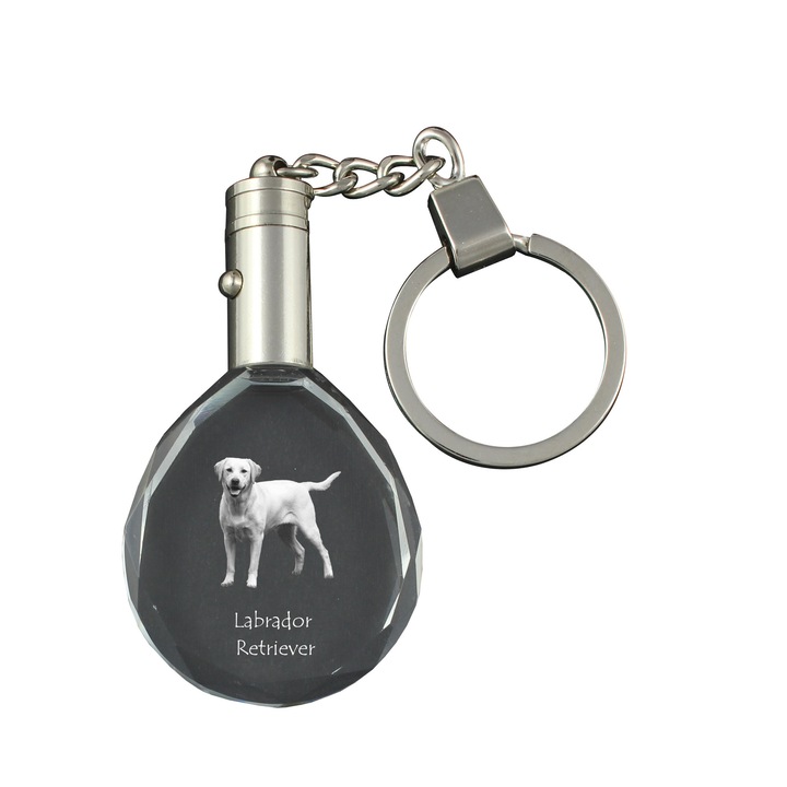 Breloc cu cristal, Art-Dog, Labrador Retriever I, iluminare, 40x35x10mm, cutie cadou