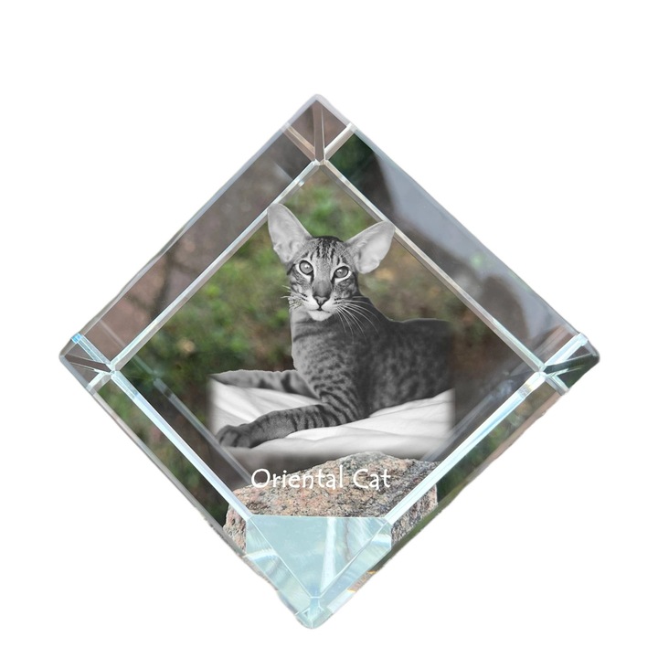 Cubica din cristal, Art-Dog, personalizabila, 8x8x8cm, pentru birou