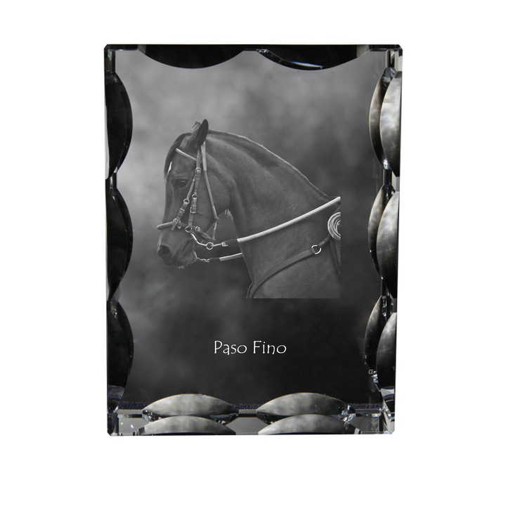 Személyre szabott dekoratív kristály fényképpel, Art-Dog, 12x9x5cm, átlátszó