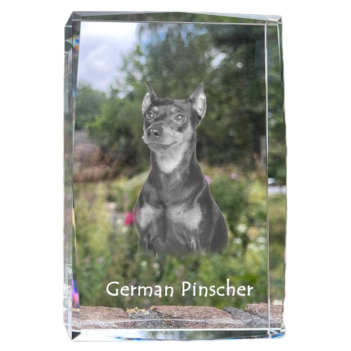 Rama foto din cristal cu fotografie, Art-Dog, 18x12x4cm, personalizabila, pentru amintiri cu animale de companie