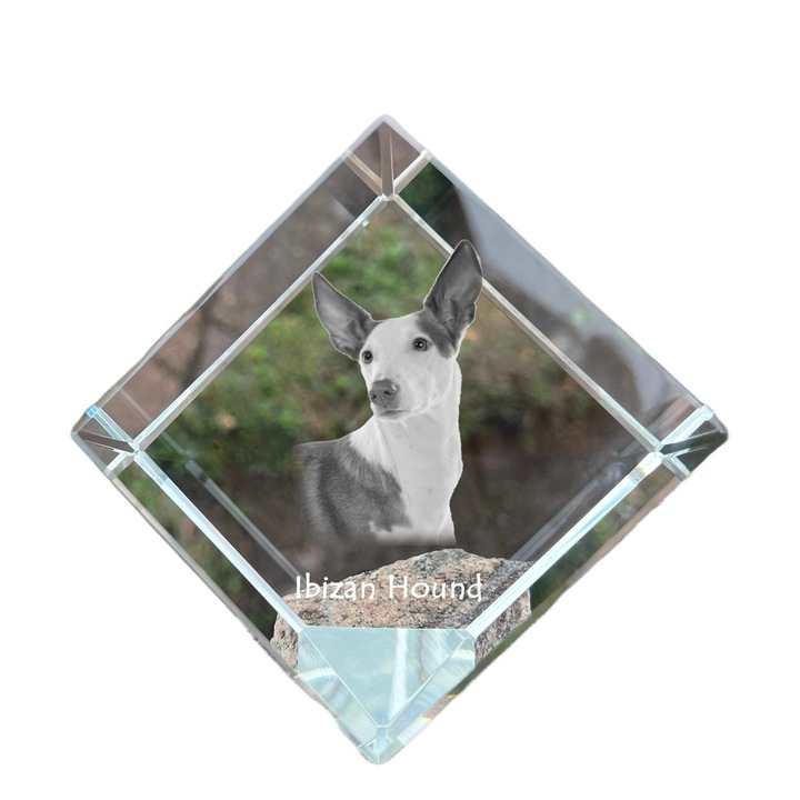 Kostka din cristal cu imagine personalizata, Art-Dog, 8x8x8cm, ideala pentru birou, cadou pentru iubitorii de animale