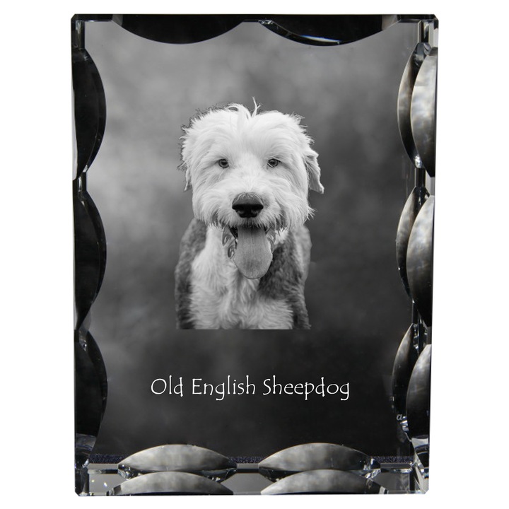 Cristal decorativ personalizat cu fotografie, Art-Dog, 12x9x5cm, transparent