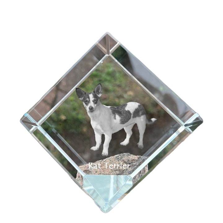 Cubica din cristal Art-Dog, personalizabila cu fotografie, 8x8x8cm, ideala pentru birou