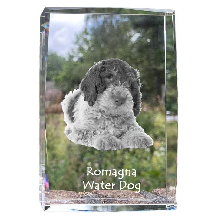 Kristály képkeret, Art-Dog, 18x12x4cm, személyre szabható fényképpel, háziállatoknak