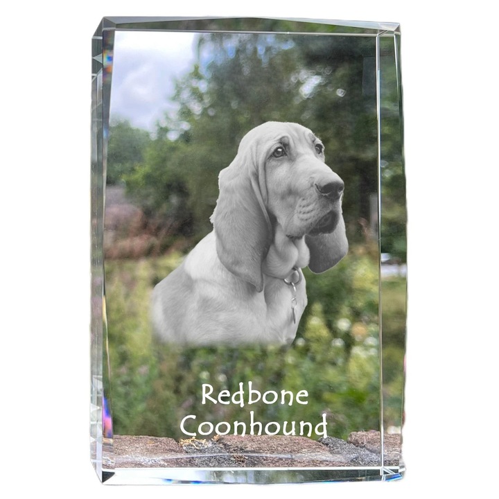 Rama foto din cristal, Art-Dog, cu fotografie personalizata, 18x12x4cm