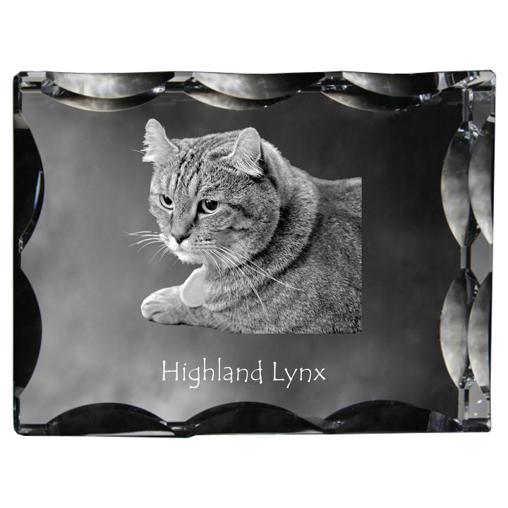 Statueta din cristal cu fotografie personalizata, Art-Dog, 12x9x5cm, decorativa pentru amintiri despre animale de companie