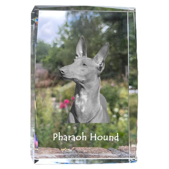 Rama foto din cristal, Art-Dog, cu fotografie personalizata, 18x12x4cm, cristal optic