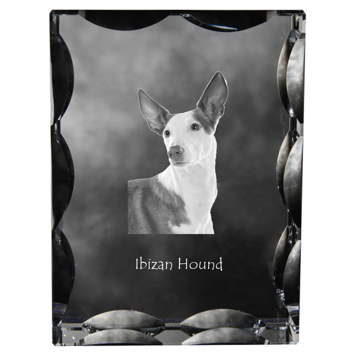 Rama foto clasica Art-Dog, krysztal cu imagine personalizata, 12x9x5cm, transparent