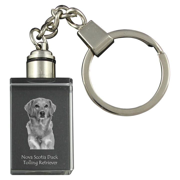 Brelocuri, Art-Dog, Retriever z Nowej Szkocji, krysztal, 20x30x15mm, subliniat