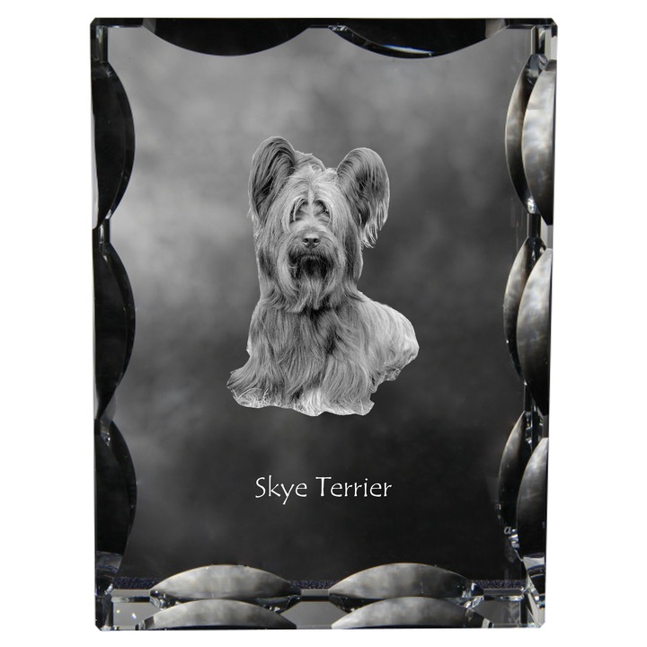 Rama foto clasica, Art-Dog, krysztal cu personalizare, 12x9x5cm, transparent