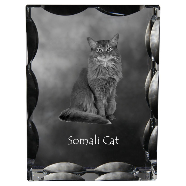 Art-Dog dekoratív kristály személyre szabott fényképpel, 12x9x5cm