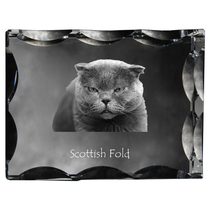 Statueta din cristal cu fotografie personalizata, Art-Dog, 12x9x5cm, decorativa pentru amintiri despre animale de companie