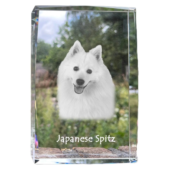 Rama foto din cristal, Art-Dog, cu fotografie personalizata, 18x12x4cm