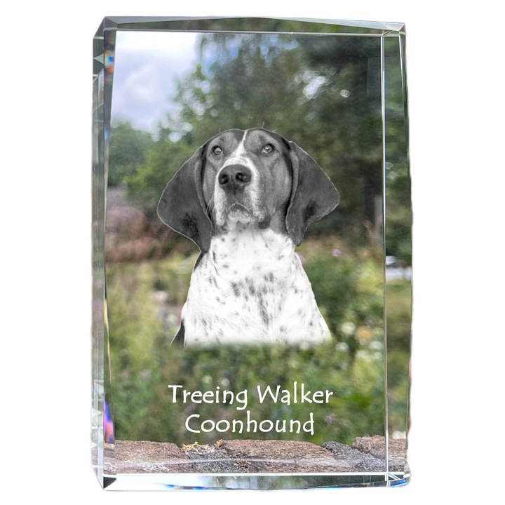 Kristály képkeret, Art-Dog, 18x12x4cm, személyre szabható fényképpel, háziállat emlékekhez