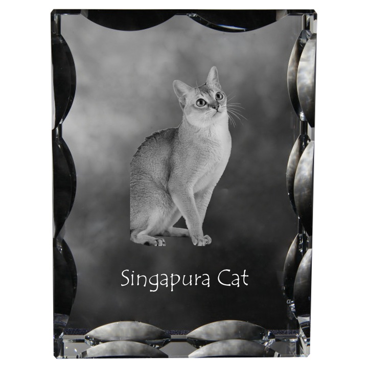 Art-Dog dekoratív kristály személyre szabott fényképpel, 12x9x5cm, átlátszó