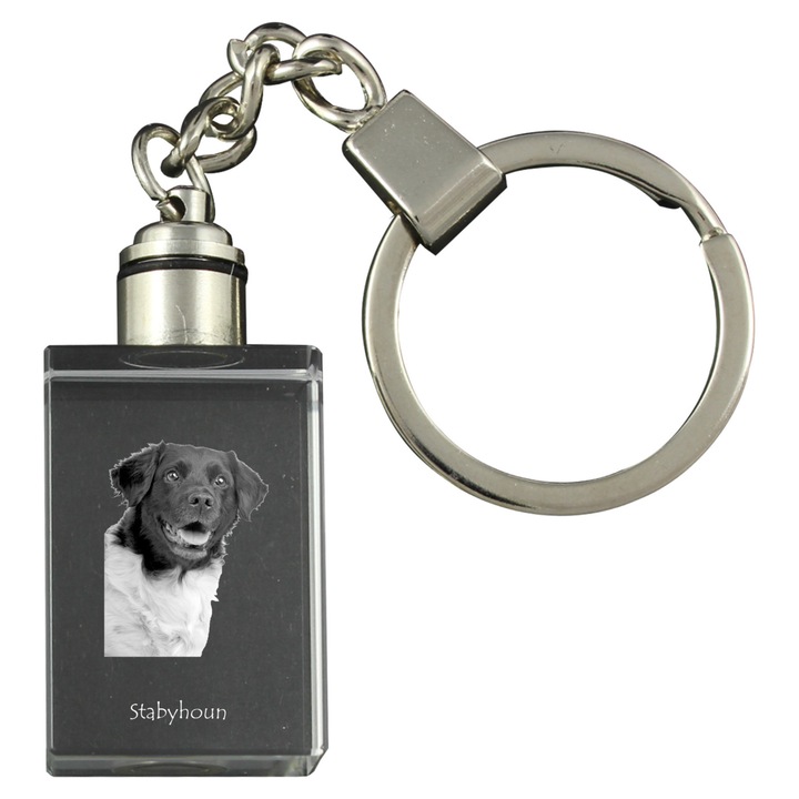 Kulcstartók, Art-Dog, kulcstartó fríz vizsla kutya képpel, 20x30x15mm, optikai kristály, világító