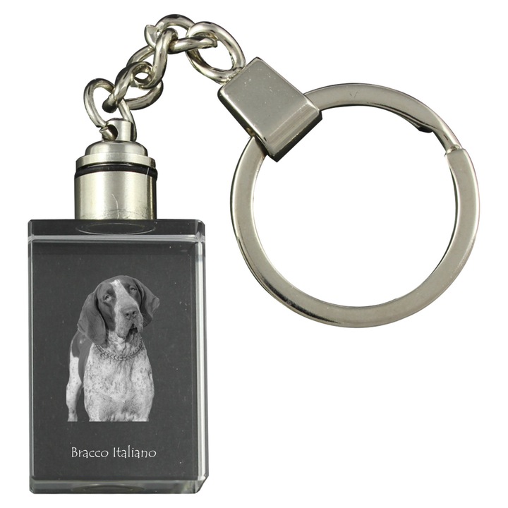 Kristály kulcstartók, Art-Dog, kutyás kulcstartó, világító, 20x30x15mm