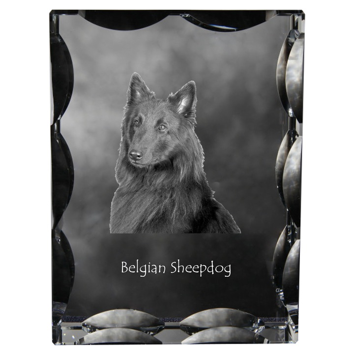 Statueta din cristal cu fotografie personalizata, Art-Dog, 12x9x5cm, pentru amintirea cainelui
