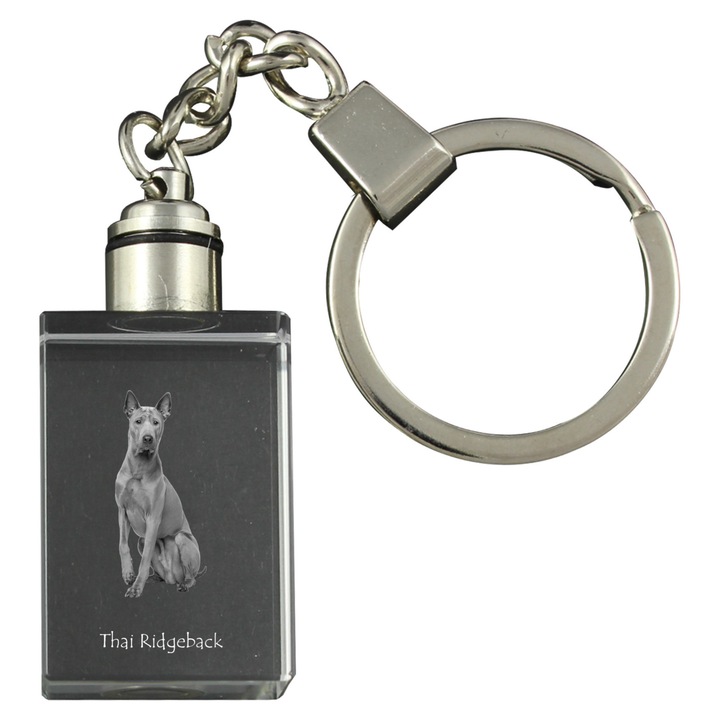 Világító kristály kulcstartó Thai Ridgeback kutya képpel, ajándék szett, 20x30x15mm