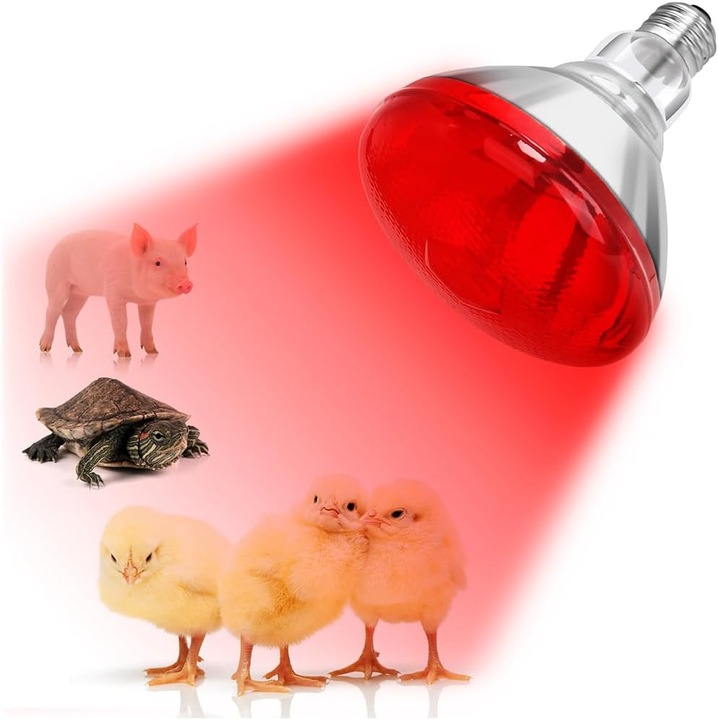 DaTu 150W infravörös fűtőlámpa, 2 darabos szett, piros, madaraknak, háziállatoknak és hüllőknek