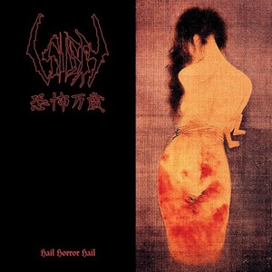 Vinyl-uri si cd-uri muzica