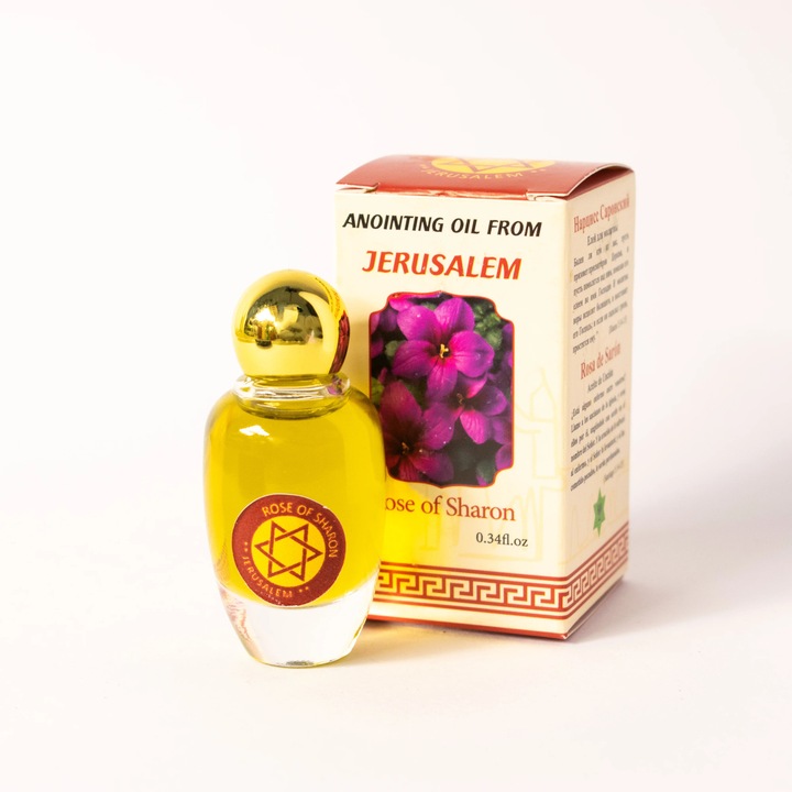 Mir „Trandafirul lui Sharon” - Sfintit in Ierusalim - Mangaiere si intarire sufleteasca