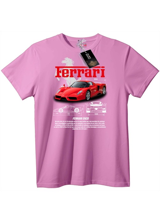 Tricou Ferrari Enzo, Rose Polemic