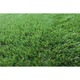 Gazon Artificial Premium Covorexpert C38, Lungime Fir 38 mm, Latime 1m, Marime 100 x 1100 cm, 2 Nuante de Verde, Fire Drepte si Carliontate, Imitatie Perfecta Gazon Natural, Polipropilena, Curte, Terasa, Piscina 100 x 1100