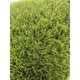 Gazon Artificial Premium Covorexpert C38, Lungime Fir 38 mm, Latime 1m, Marime 100 x 1100 cm, 2 Nuante de Verde, Fire Drepte si Carliontate, Imitatie Perfecta Gazon Natural, Polipropilena, Curte, Terasa, Piscina 100 x 1100