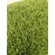 Gazon Artificial Premium Covorexpert C38, Lungime Fir 38 mm, Latime 1m, Marime 100 x 1100 cm, 2 Nuante de Verde, Fire Drepte si Carliontate, Imitatie Perfecta Gazon Natural, Polipropilena, Curte, Terasa, Piscina 100 x 1100