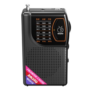 Radio cu ceas & portabile