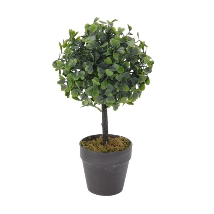 Planta artificiala tip copacel Buxus 28 cm, in ghiveci negru, design modern pentru interior