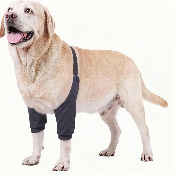 Kutyakönyökvédő, ízülettámasz, L-es méret, 25-40 lbs