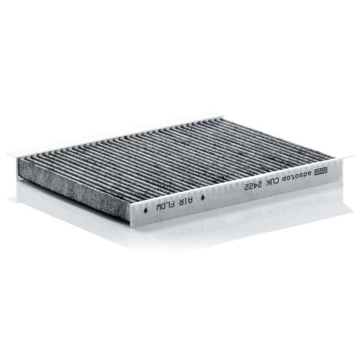 Filtru De Cabina Fiat Stilo/Bravo 01-, Cu Carbune Activ 71736776