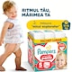 Scutece-chilotel Pampers Active Baby Pants XXL Box Marimea 5, 11kg-17kg, 164 buc