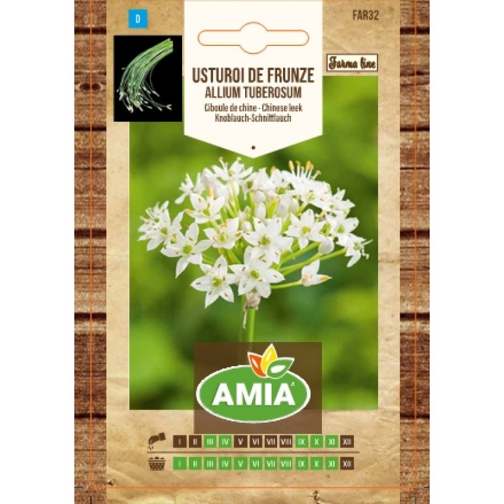 Seminte de usturoi de frunze, Amia Farma Line, Allium tuberosum