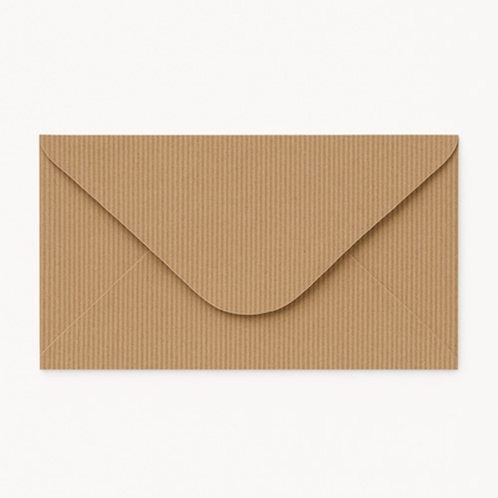 Set 50 Plicuri NEOPAK Decorative, DL, 110x220mm, Kraft, 120g, cu lipire gumata, texturat striat